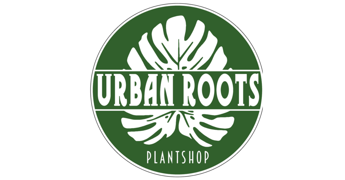 Over ons – Urban Roots Plantshop