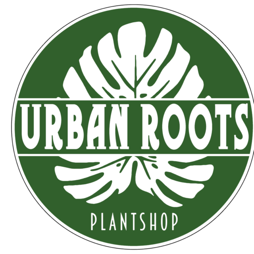 Urban Roots Plantshop
